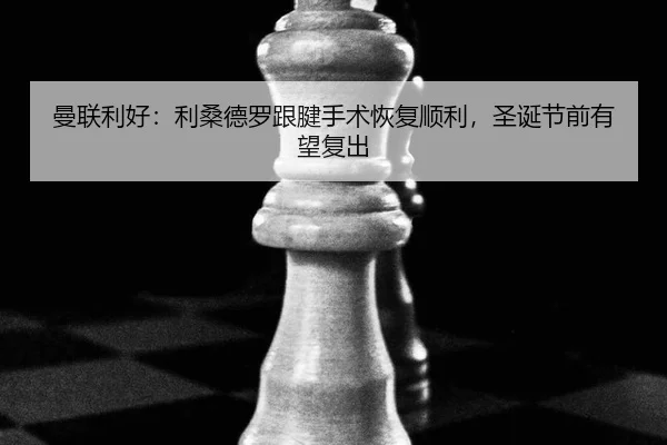 man-lian-li-hao-li-sang-de-luo-gen-jian-shou-shu-hui-fu-shun-li-sheng-dan-jie-qian-you-wang-fu-chu-2-393.jpg